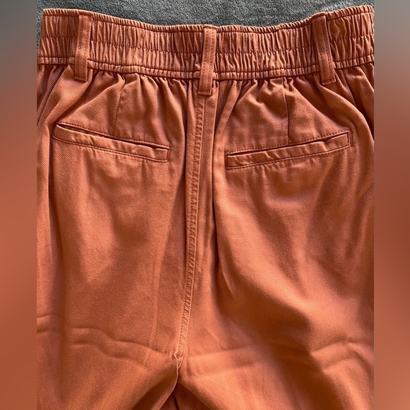 Madewell The Tall Neale Straight-Leg Pant in Drapeweave, Dried Rose, Size 4 Tall - Picture 10 of 12